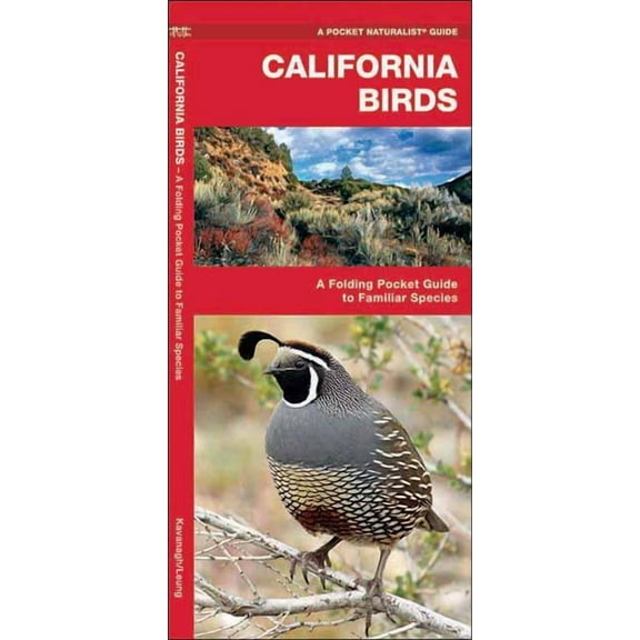 Wildlife and Nature Identification: California Birds : A Folding Pocket Guide to Familiar Species (Other)