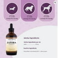 thumbnail image 2 of Amber NaturalZ Jatoba for Dogs & Cats | Maintaining a Proper Yeast Balance & Immune Support 1oz, 2 of 4