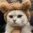 thumbnail image 4 of Chapeau pour Chaton en Forme d'Ours Dessin Animé Fournitures pour Animaux Décoration Quotidienne, 4 of 5