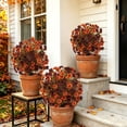 thumbnail image 4 of Artificial Flowers for Outdoors Fake Flowers Fake Plants Faux Outdoor Plants with Planters Fall Color Schemes Garden Decor Home Decor Uv Resistant for Patio Balcony Yard 22 Inch Maintenance, 4 of 6