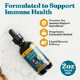 thumbnail image 5 of Rejuvica Health MunoMax - Herbal Immune Support Supplement with Elderberry, 5 of 7