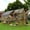 Yellow, variant on MEWANG Outdoor Spacious Wooden Hen House with Two Small Doors, Brown, Fits 20 Chickens (1 Pack)