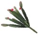 thumbnail image 2 of Cactus artificiales realistas, suculentas falsas para escritorio de oficina, adorno de cactus, accesorios de decoración del hogar, 2 of 8