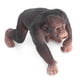thumbnail image 4 of Modelo de gorila, Figuras de animales Gorila Modelo de gorila salvaje Juguete Modelo de gorila animal Multifuncional, 4 of 9