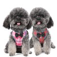 thumbnail image 4 of Fairnull Pet Vest Harness Dog Cat Bow Design Harness Adjustable Strap Harness with Bell for Walking, 4 of 6