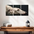 thumbnail image 2 of Elephant Stock Loyal Dog Wall Art - Horizontal Multi Panel Canvas - Living Room Wall Decor - Animal Multi Panel - Brown And White Decor - 26" x 12", 2 of 8
