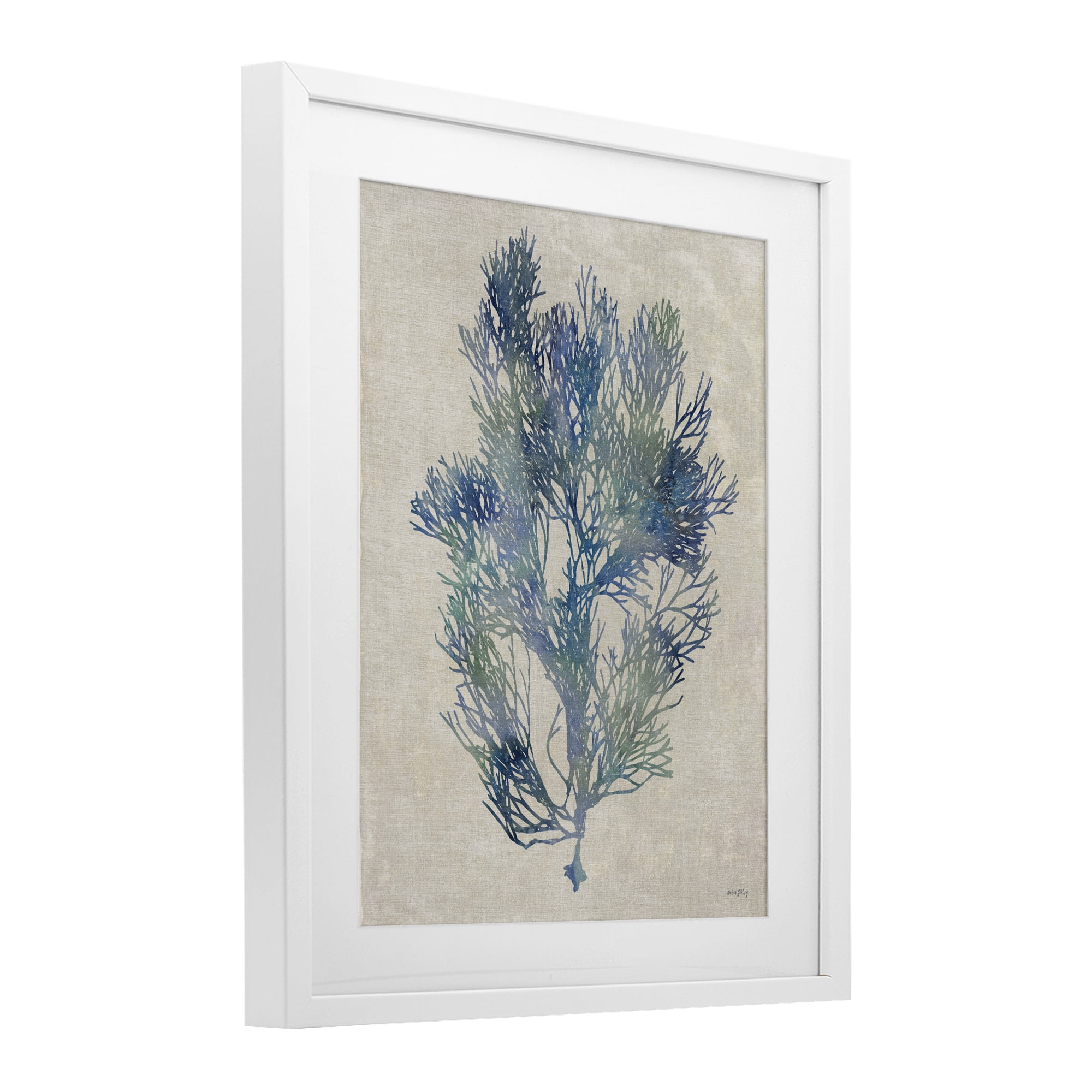 Stupell Industries Misty Blue Coral Study White Framed Print Under Glass, design by Amber Sterling