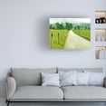 thumbnail image 3 of James McLoughlin 'Country Road Photo I' Canvas Art, 3 of 3