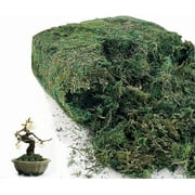 BKBP Artificial Moss for Indoor Craft Moss for Potted , Fresh Green Moss Forest Moss for Hamsters Micro-Landscape Terrariums Centerpieces Decor