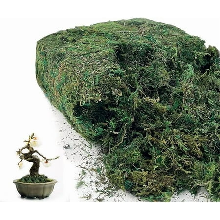 BKBP Artificial Moss for Indoor Craft Moss for Potted , Fresh Green Moss Forest Moss for Hamsters Micro-Landscape Terrariums Centerpieces Decor