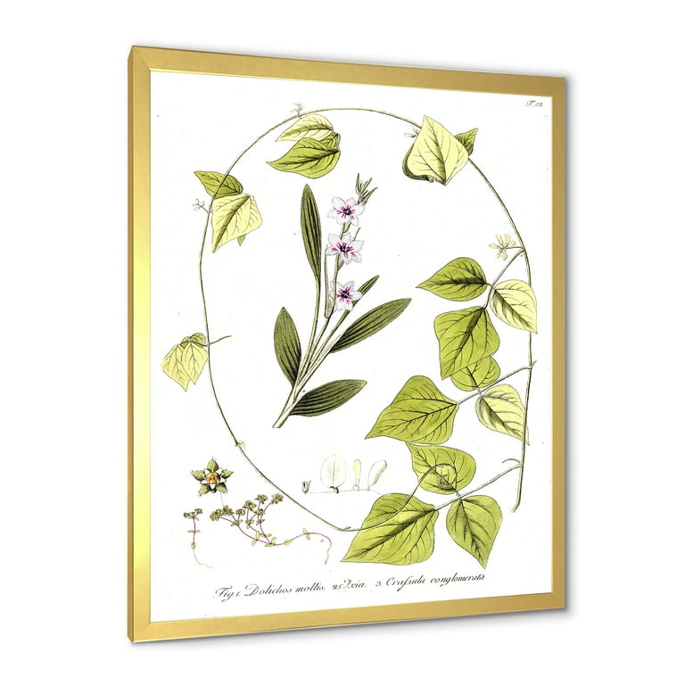Designart 'Ancient Botanicals XXI' Traditional Framed Art
