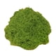thumbnail image 3 of Musgo artificial de 50 g, plantas verdes artificiales, jardineras para patio, musgo decorativo, verde falso Verde claro, 3 of 7