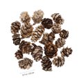 thumbnail image 2 of 1 juego de 20 piezas conos de pino decorativos navideños piñas accesorios de caja de flores, 2 of 7