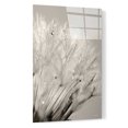 thumbnail image 4 of Epic Art 'Dandelion Jewels I' by Lori Deiter, Acrylic Glass Wall Art, 16"x24", 4 of 10