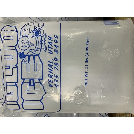 Igloo Ice 11LB block ice