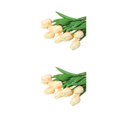 thumbnail image 4 of Monstrate 10 bolsas de materiales para arreglos de flores artificiales DIY impresionantes exhibiciones florales con facilidad para mezclar y Type4 NO4, 4 of 6