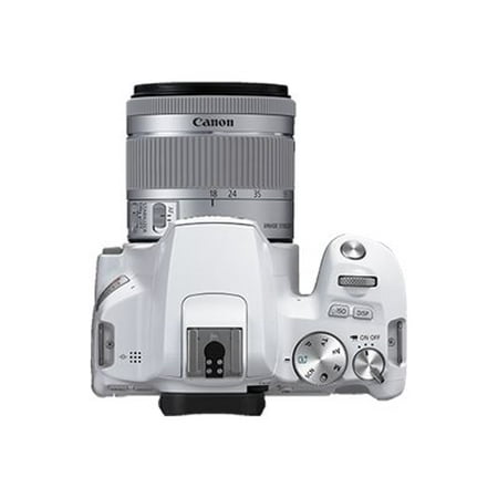 Canon - EOS R Mirrorless 4K Video Camera with RF 24-105mm f/4L IS USM Lens