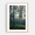 thumbnail image 2 of Ramson Forest - Bulgaria Photography Forest Woodland Nature Mystical Scenic Wilderness Landscape Unframed Wall Art Print 5 x 7 inches, 2 of 60