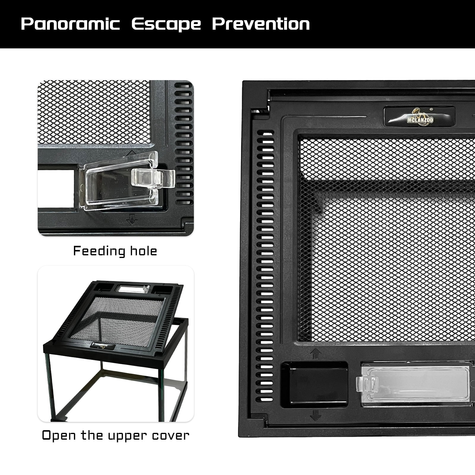 Mini Reptile Glass Terrarium Tank 8 * 8 * 6" Full View, Amphibians Box Habitat Enclosure Cage for Frog,Spiders,Dubia Cockroach,Praying Mantis,Cricket,Tarantula,Hermit Crab