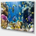 thumbnail image 2 of Fish in Coral Reef - Seascape Photography Canvas Art Print, 2 of 3