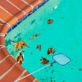 thumbnail image 4 of Fournitures de Piscine Bleu 1 Ensemble 2cm, 4 of 5