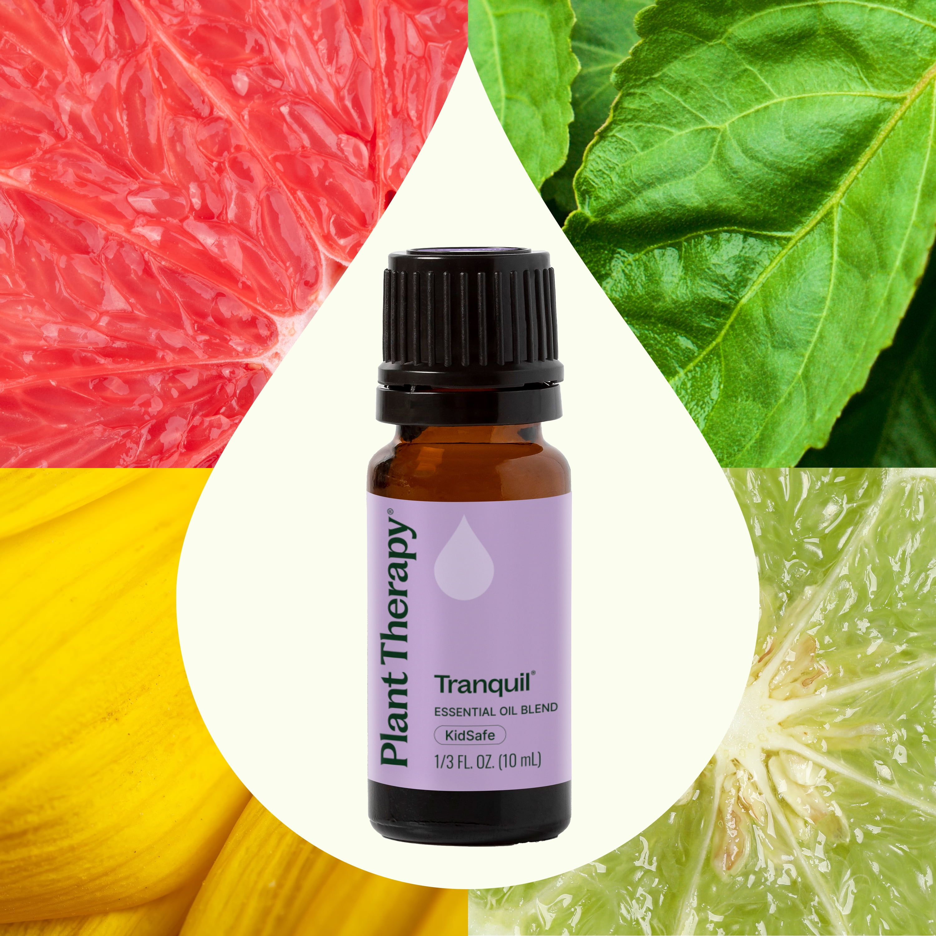 Plant Therapy Tranquil Essential Oil Blend - Peace & Calming Blend 100% Pure, Undiluted, Natural Aromatherapy, Therapeutic Grade 10 mL (1/3 oz)