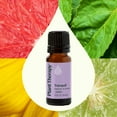 thumbnail image 3 of Plant Therapy Tranquil Essential Oil Blend - Peace & Calming Blend 100% Pure, Undiluted, Natural Aromatherapy, Therapeutic Grade 10 mL (1/3 oz), 3 of 8