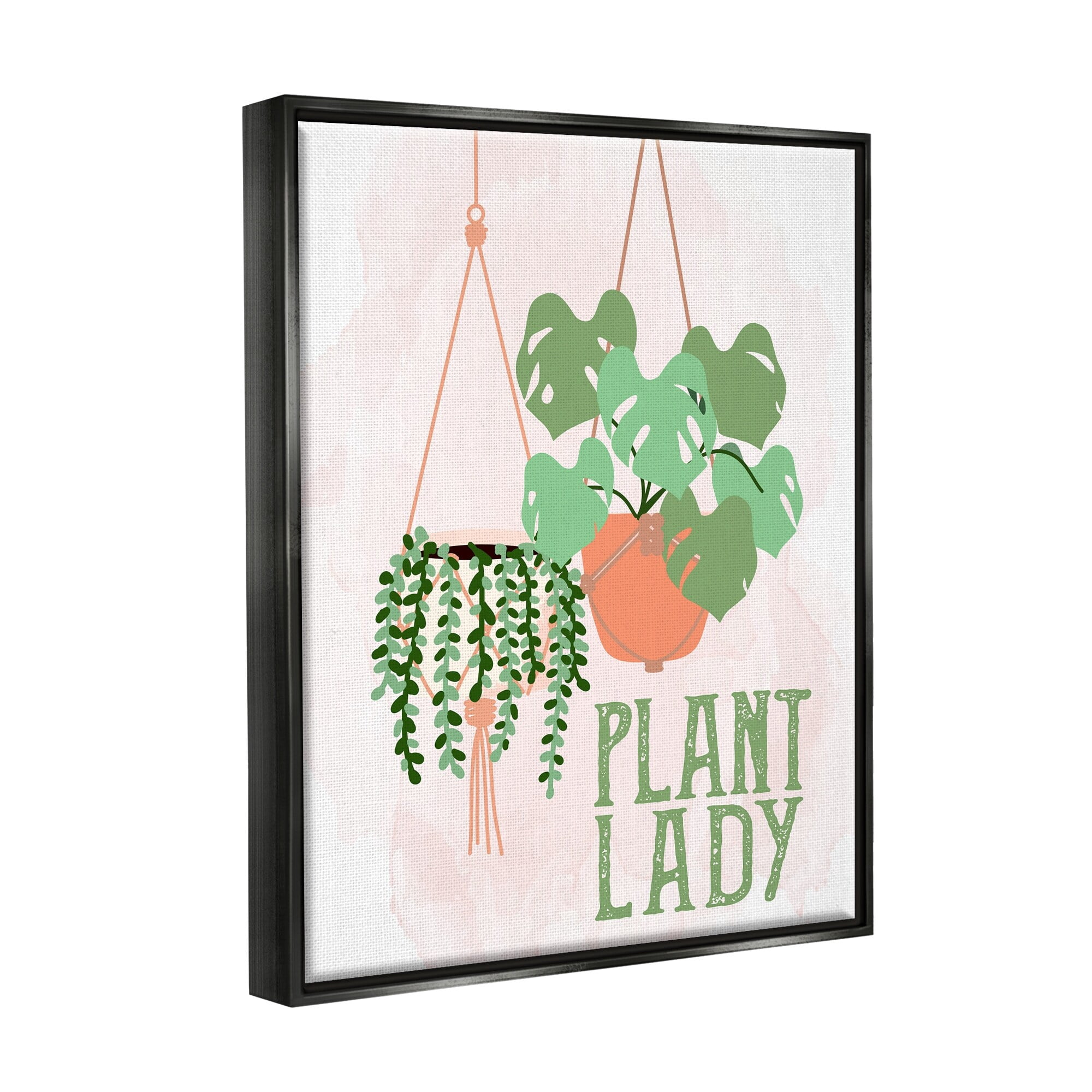 Stupell Industries Casual Plant Lady Hanging Green Potted Vegetation Graphic Art Jet Black Floating Framed Canvas Print Wall Art, Design by Kim Allen