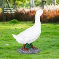 thumbnail image 4 of Figura decorativa de Pato, ESCULTura Animal, Adorno de Jardín de Resina Inmitable, Vívido, Realista, Adecuado para Exposición en el HOGAR Y LA OFICINA, 4 of 7
