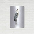 thumbnail image 3 of Luxe Metal Art 'Sea Bird V' by Grace Popp, Metal Wall Art, 24"x36", 3 of 9