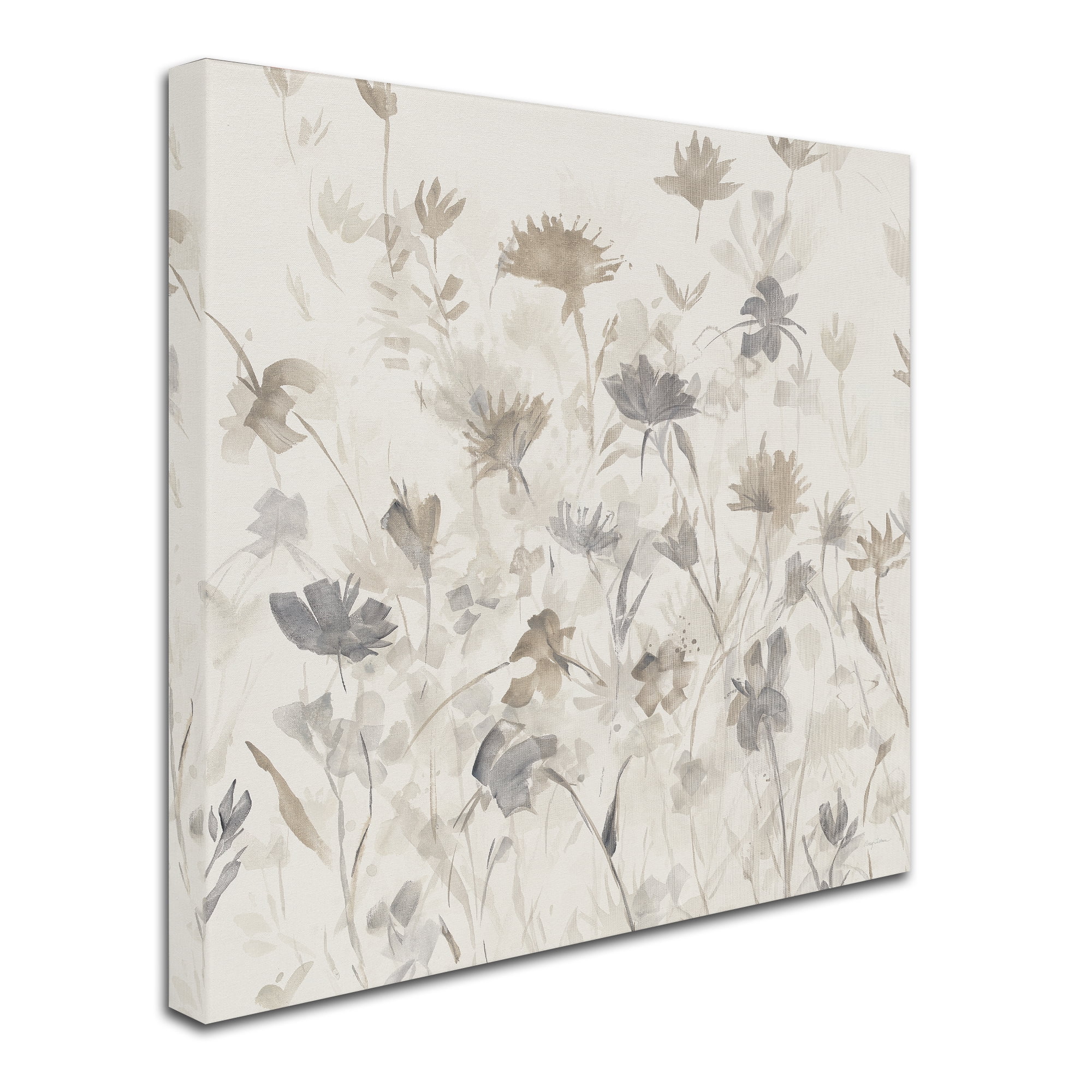 Trademark Fine Art "Garden Shadows III" Canvas Art by Avery Tillmon