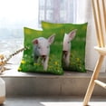 thumbnail image 6 of LALILO Throw Pillow Covers Young Pig Spring Green Grass Pig Farm Cushion Cover 18" x 18", 2 Pack, 6 of 6