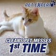thumbnail image 4 of Resolve Pet Stain & Odor Carpet Cleaner - Deodorizing Liquid - 3 Pack, 22 oz Each, 4 of 9