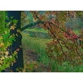 thumbnail image 2 of Fitzharris, Tim 14x12 Black Ornate Wood Framed with Double Matting Museum Art Print Titled - Sweetgum along Wilton Landing-Millwood Lake-Arkansas, 2 of 4