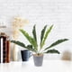 thumbnail image 5 of 2 plantas de serpiente artificiales, sansevieria falsa, plantas artificiales en maceta para interior y exterior., 5 of 5