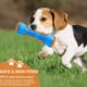 thumbnail image 3 of Juguete Masticable Para Perros Juguete Interactivo Resistente A Mordeduras Juguete Luminoso De Agua Vocal Para Mascotas Scienceny PT002431-01, 3 of 6