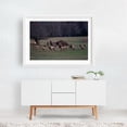 thumbnail image 2 of Untitled - Los Angeles Oregon Photography Wildlife Nature Deer Woodland Animal Scenic Wilderness White Framed Wall Art Print 5 x 7 inches, 2 of 3