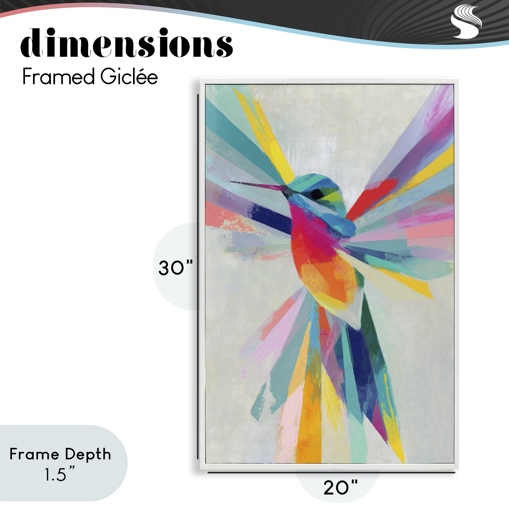 Stupell Industries Rainbow Winged Hummingbird White Framed Giclee Art, design by Chromatic Storm Studio