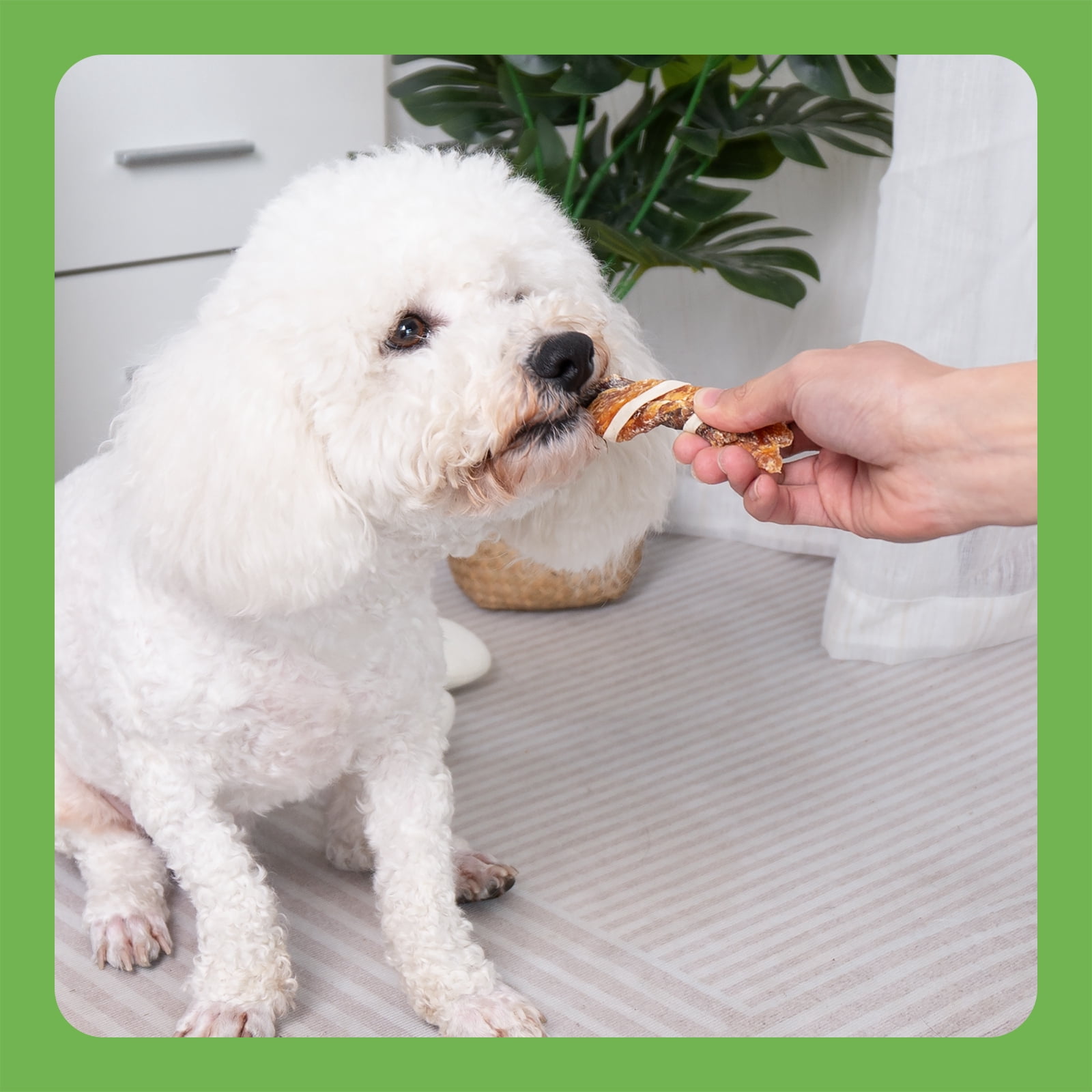 MON2SUN Chicken Duck & Codfish Twist Sticks Small Dog Treats, 17.64 oz (25 Count), 5-7 Inch