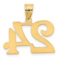 thumbnail image 2 of Diamond2Deal 14K Yellow Gold Polished Number 24 Pendant for Women, 2 of 6
