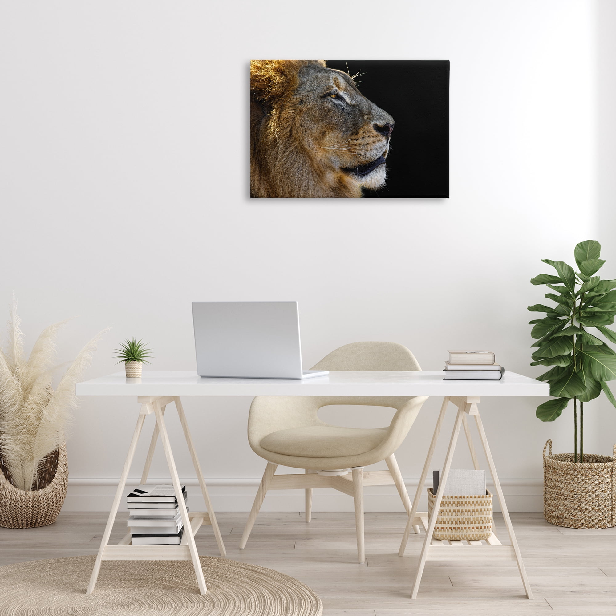 Stupell Industries Fierce Lion Looking Right Animals Photography Wrapped Canvas Art Print Wall Art, 30 x 20