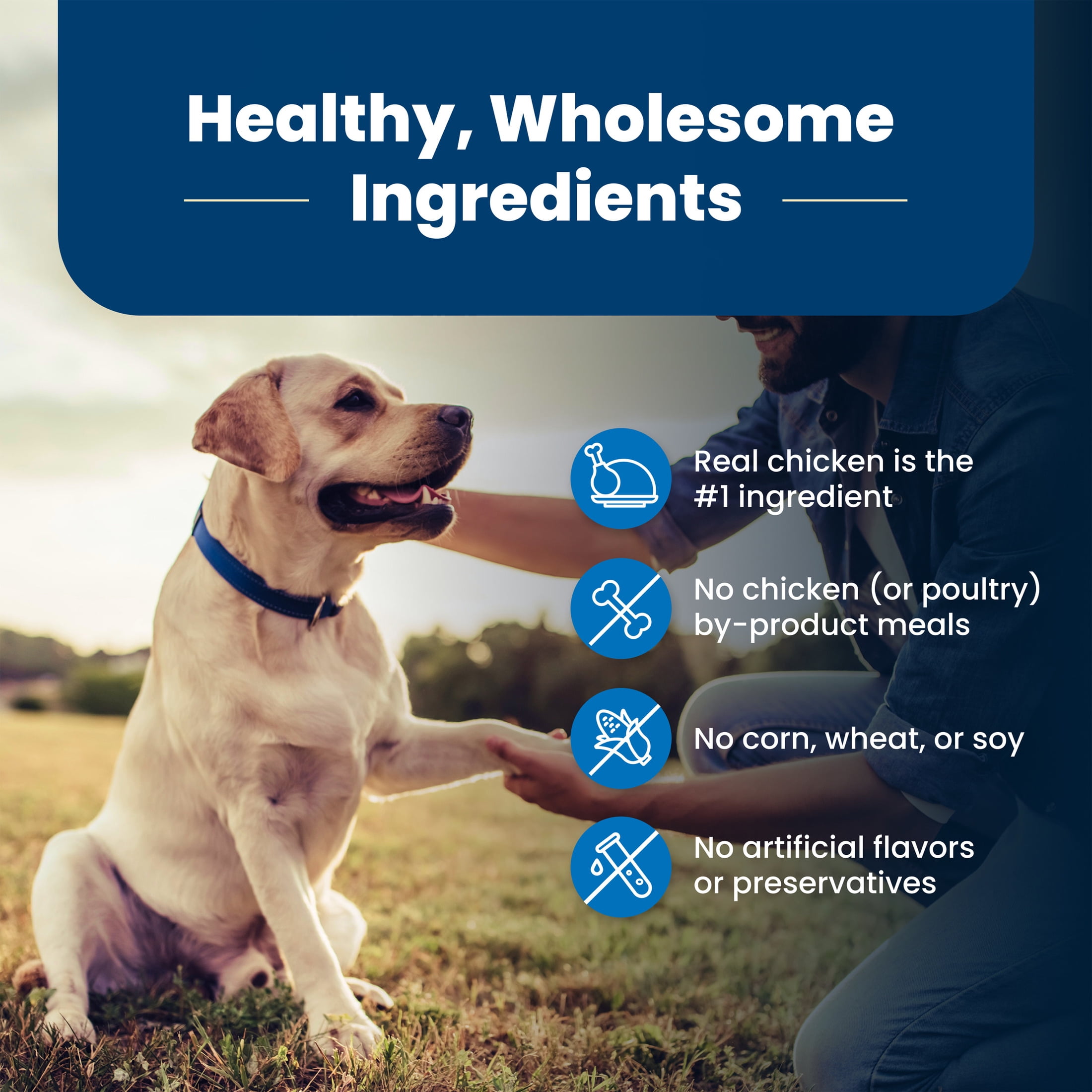 Blue Buffalo Life Protection Formula Senior Dry Dog Food, Chicken & Brown Rice Recipe, 34-lb. Bag