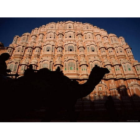 - Palace of the Winds, Camel in Silouhette, Jaipur, Rajasthan, India Print Wall Art By Steve Vidler
