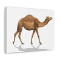 thumbnail image 2 of Majestic Camel Art Majestic Camel Print Animal Wall Art Wildlife Canvas Prints Wall Art Ready to Hang Unframed, 2 of 18