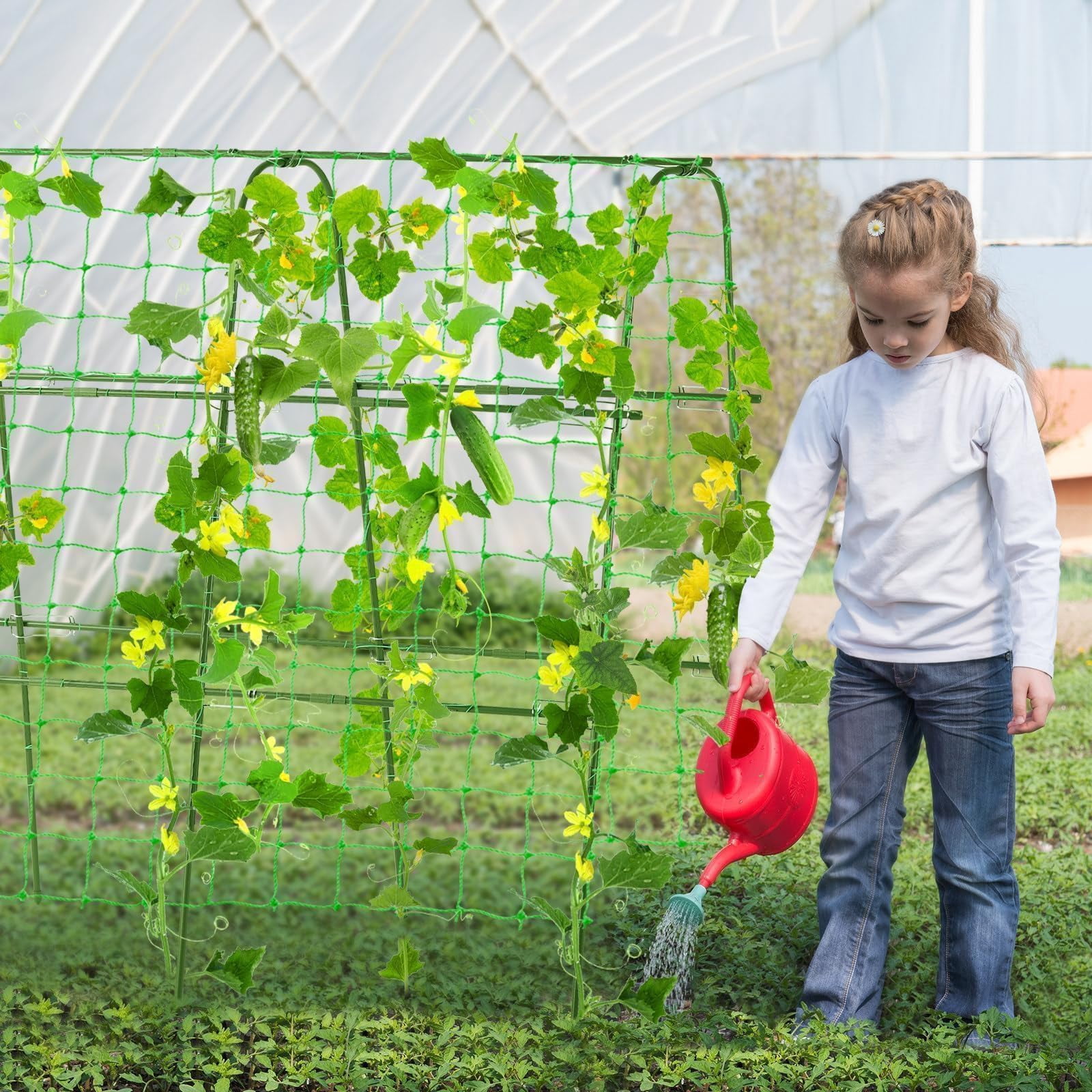 Garden Cucumber Trellis for Climbing Plants Outdoor 48x48 Inch U-Shape Arch Plant Support for Tomato Grape Vegetable Pea Bean with Durable Green Frame