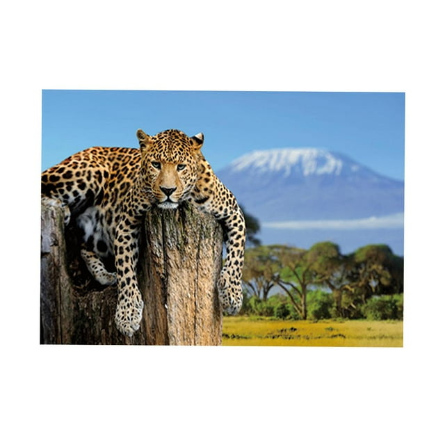 Adhesivo de fondo adhesivo 3D de una cara para acuario, decoración de 76x46cm Yuyangstore Etiqueta engomada del fondo del tanque de peces