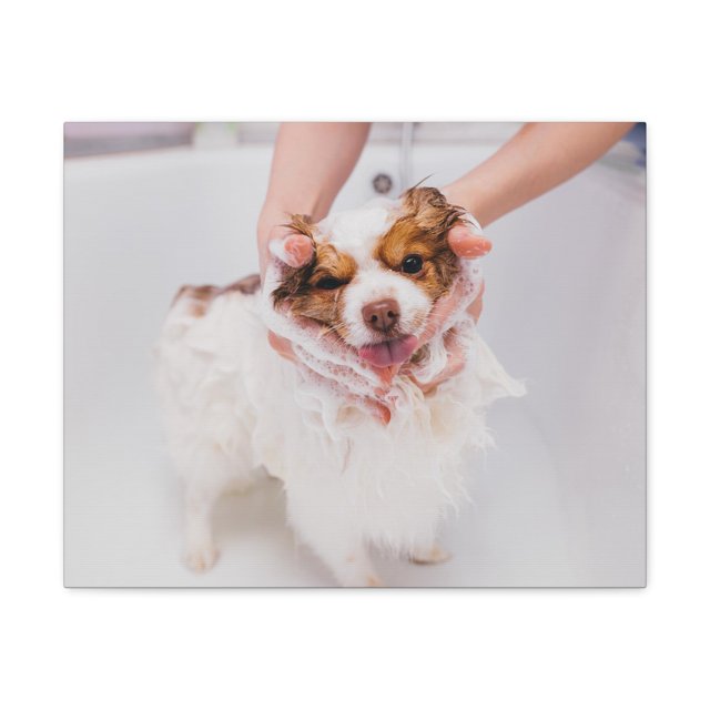 Funny Australian Shephard Bathee Canvas Wall Art for Home Decor Ready-to-Hang