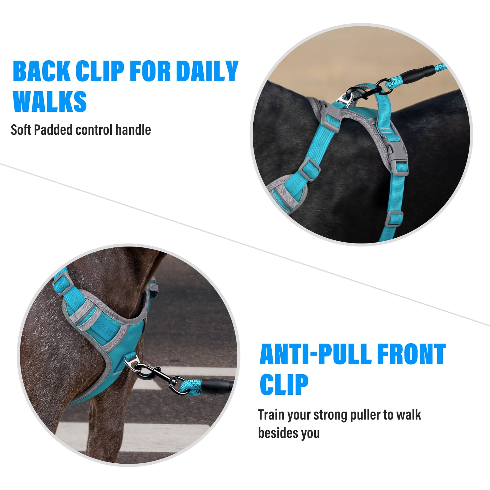 Plutus Pet No Pull Dog Harness, Release At Neck, Reflective Adjustable Dog Vest Harness, Easy Control Handle for Walking, for Small Medium Large Dogs, Cyan, XL