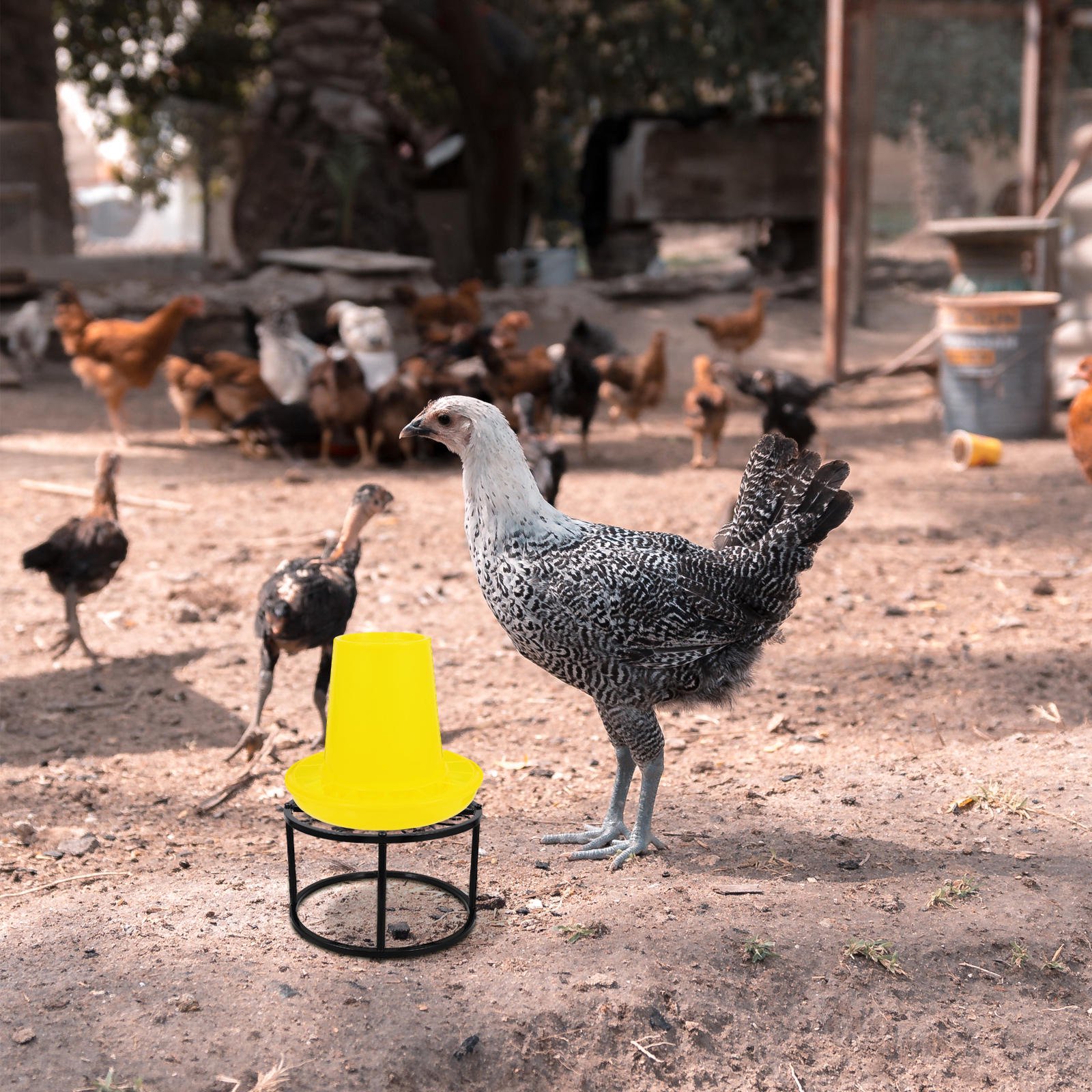 MOKKHNB Metal Chicken Feeder Stand, Space-Saving Design for Coop Feeding Area, Easy to Use and Clean