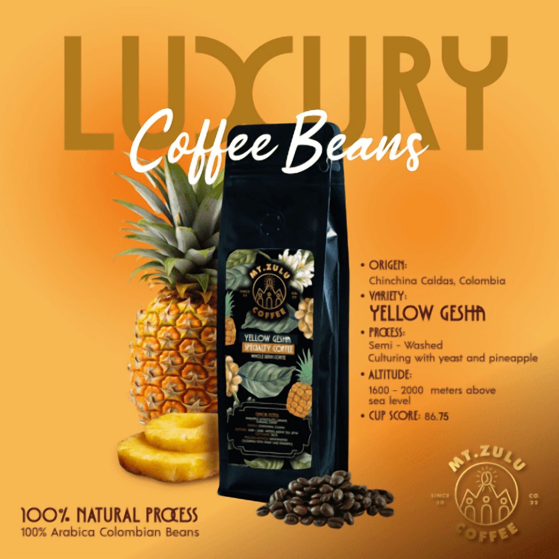 Mt. Zulu Yellow Gesha – Pineapple Fermented, Semi-Washed, Single Origin Colombian Coffee Beans, Medium Roast, 8 oz